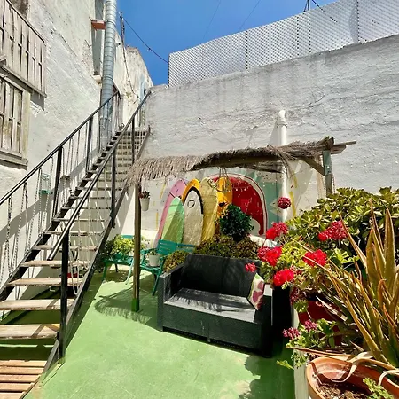 Rosa De Los Vientos: Estudios